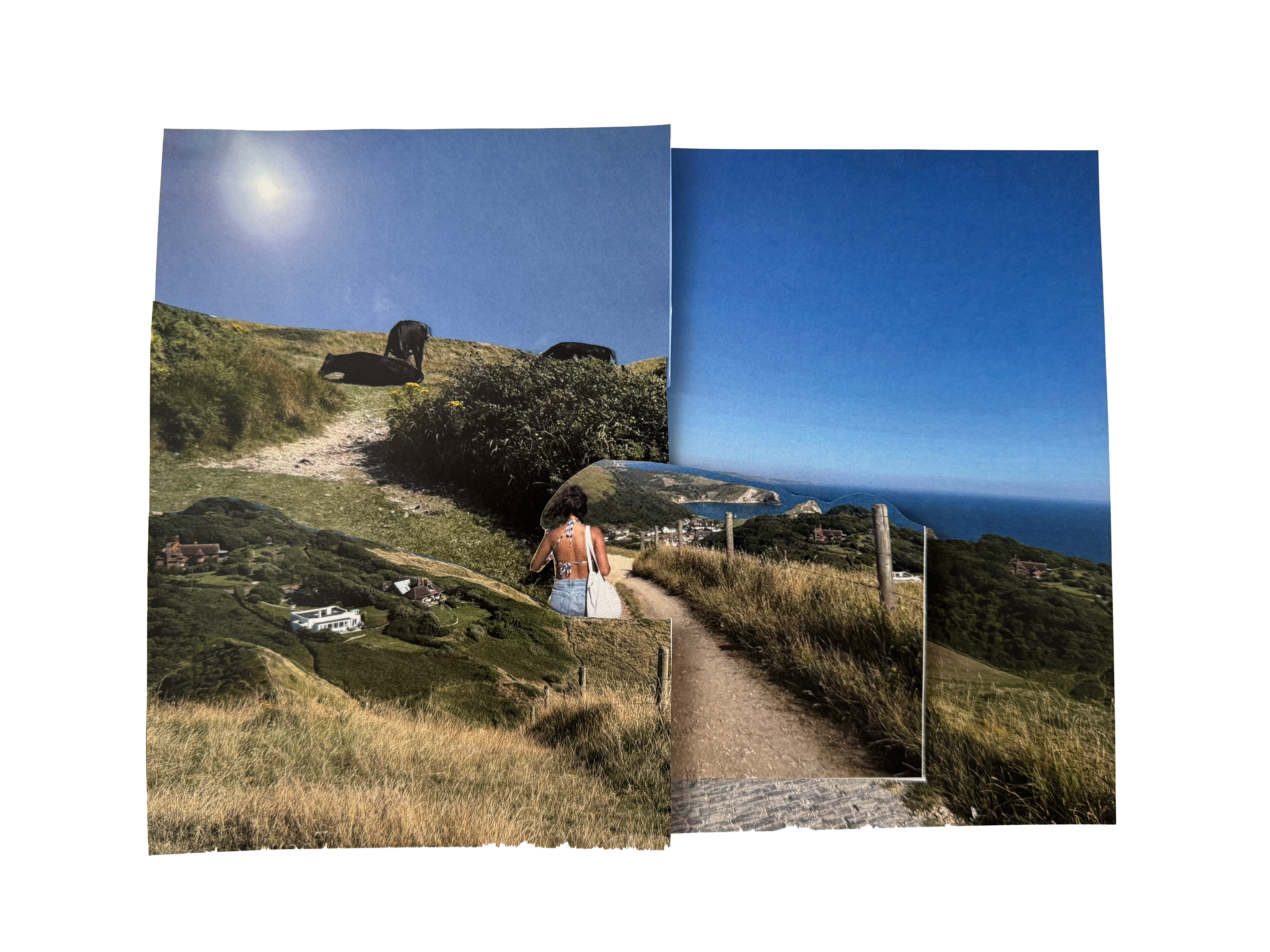 Collage